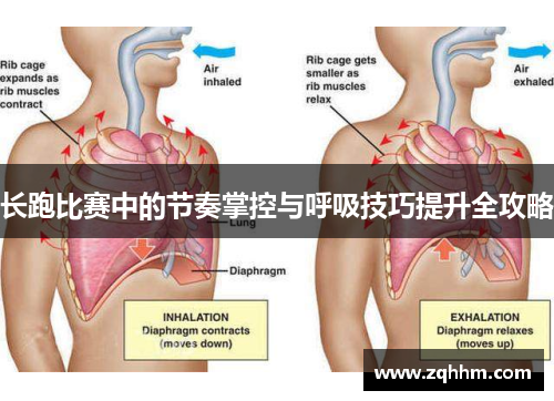 长跑比赛中的节奏掌控与呼吸技巧提升全攻略